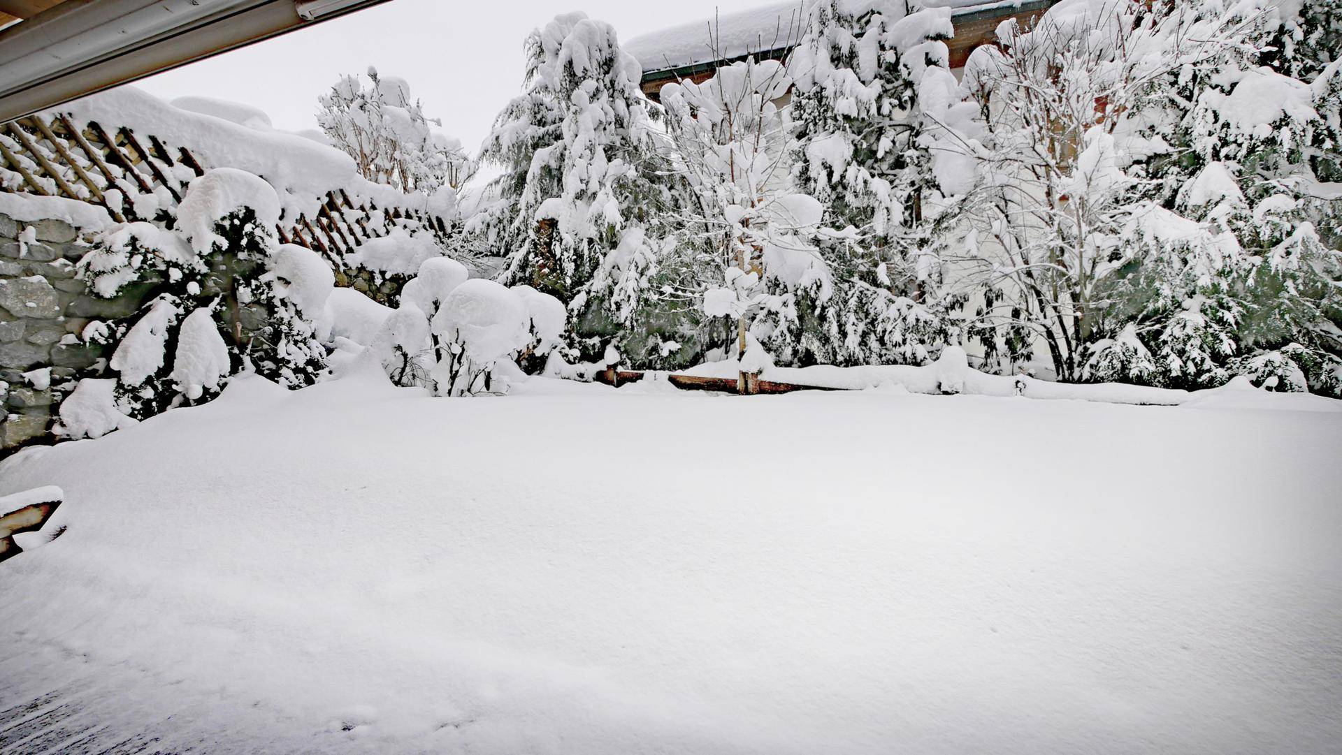 Winterlicher Garten mit tiefem Schnee und verschneiten Bäumen, umgeben von einer Steinmauer.
