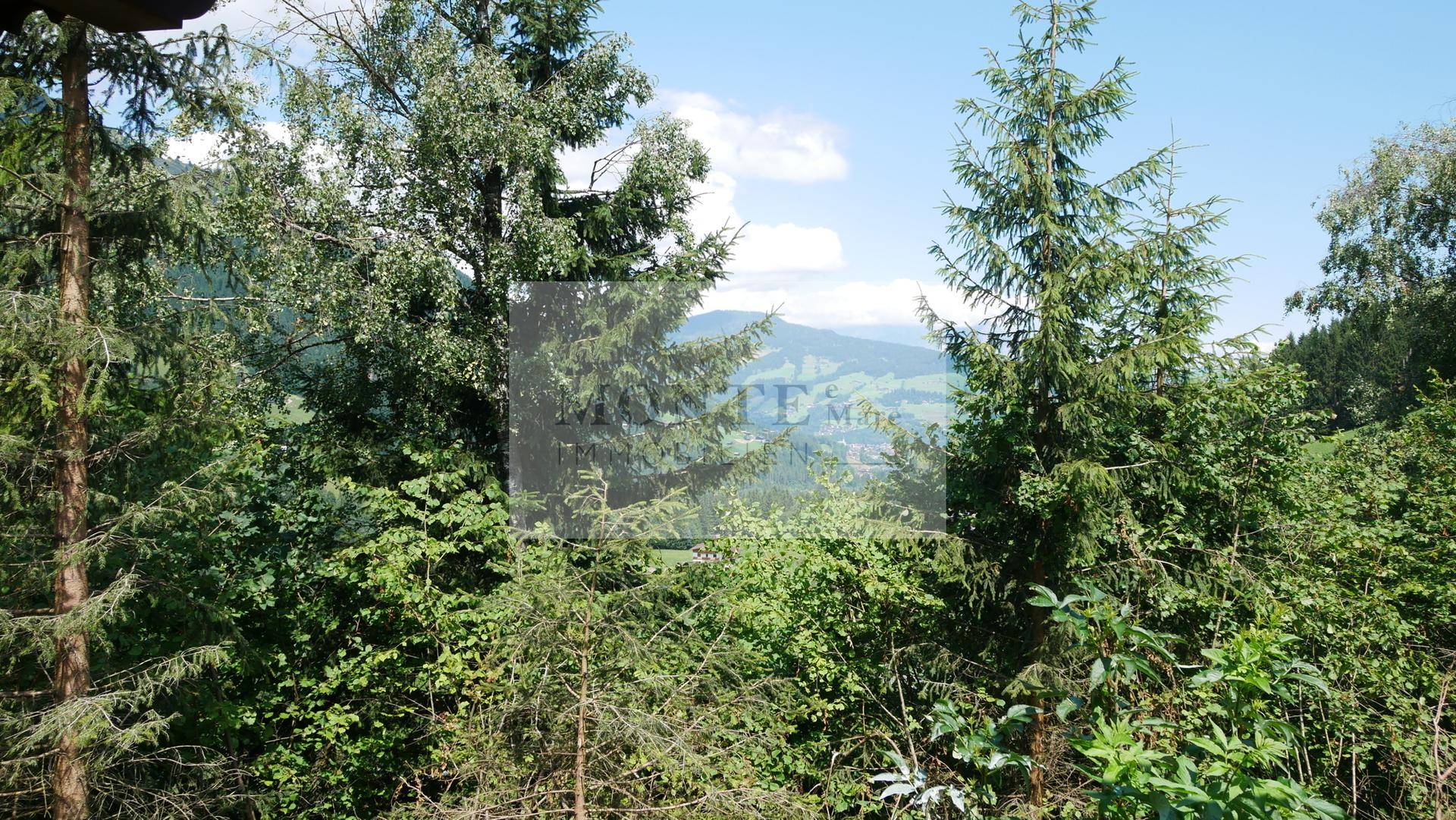 P1200251
