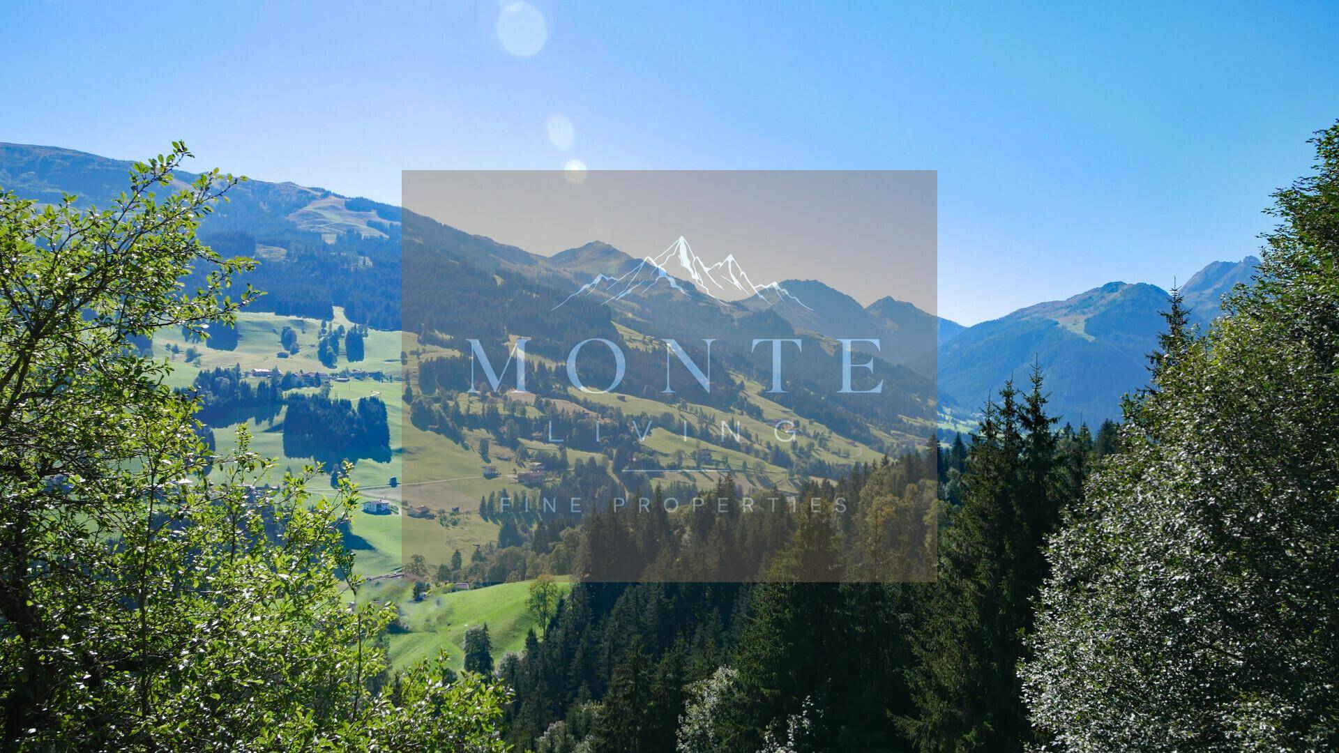 Weitläufiger Blick auf die majestätische Bergkette und die bewaldeten Täler unter strahlend blauem Himmel.