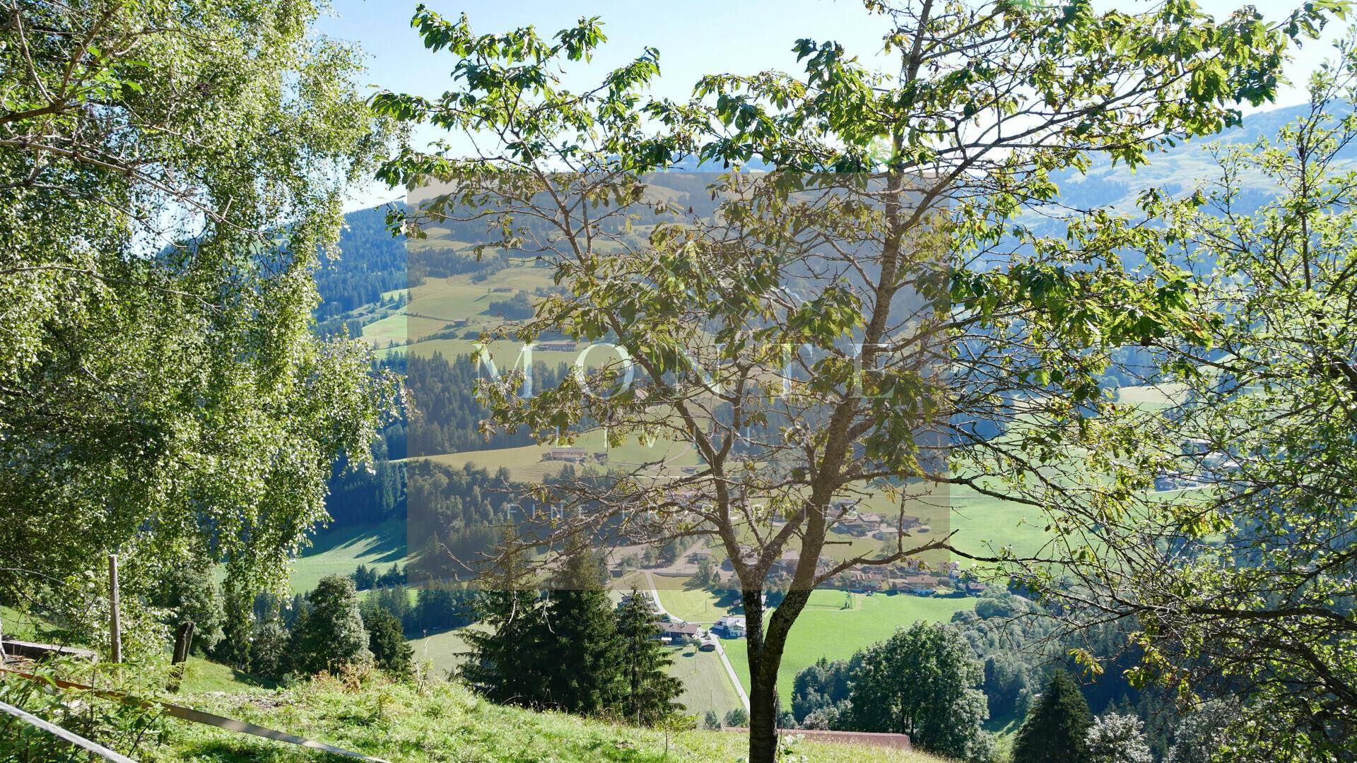 Blick durch Bäume auf eine malerische grüne Landschaft mit verstreuten Häusern und Wäldern in der Ferne.