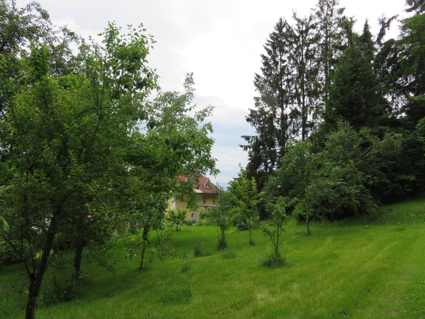 Garten (3)