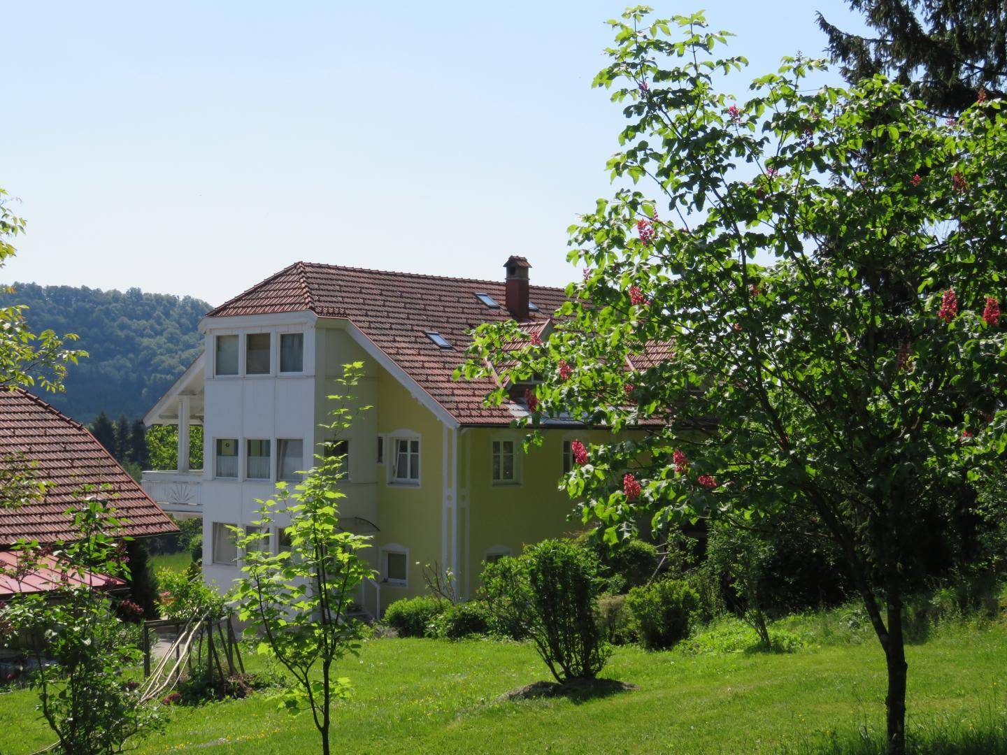 Garten (2)