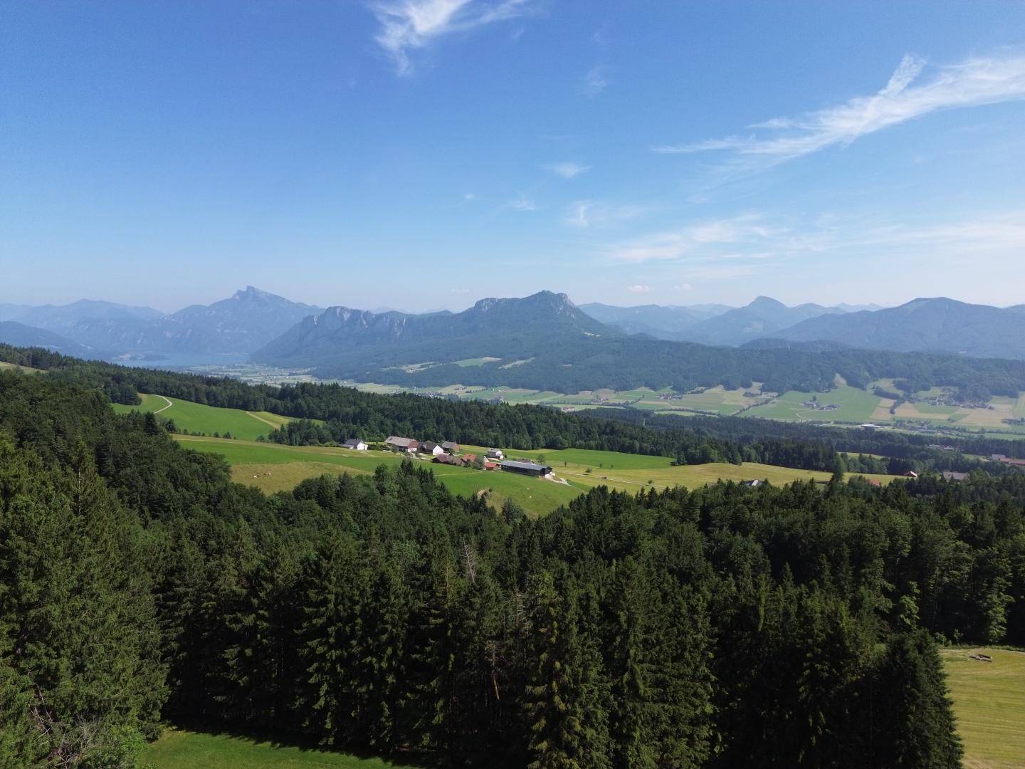 Ausbilck