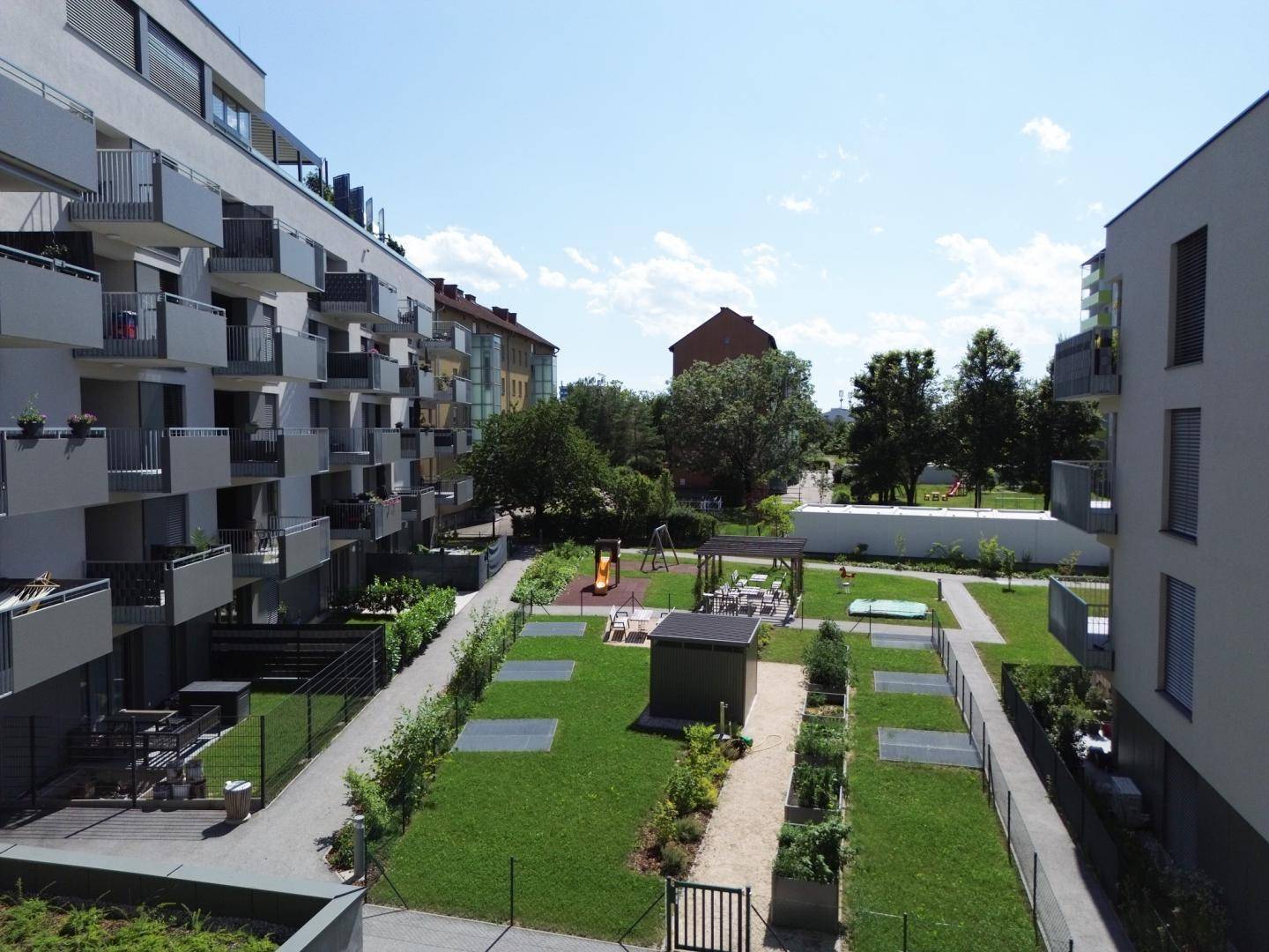 Ausblick Top 31
