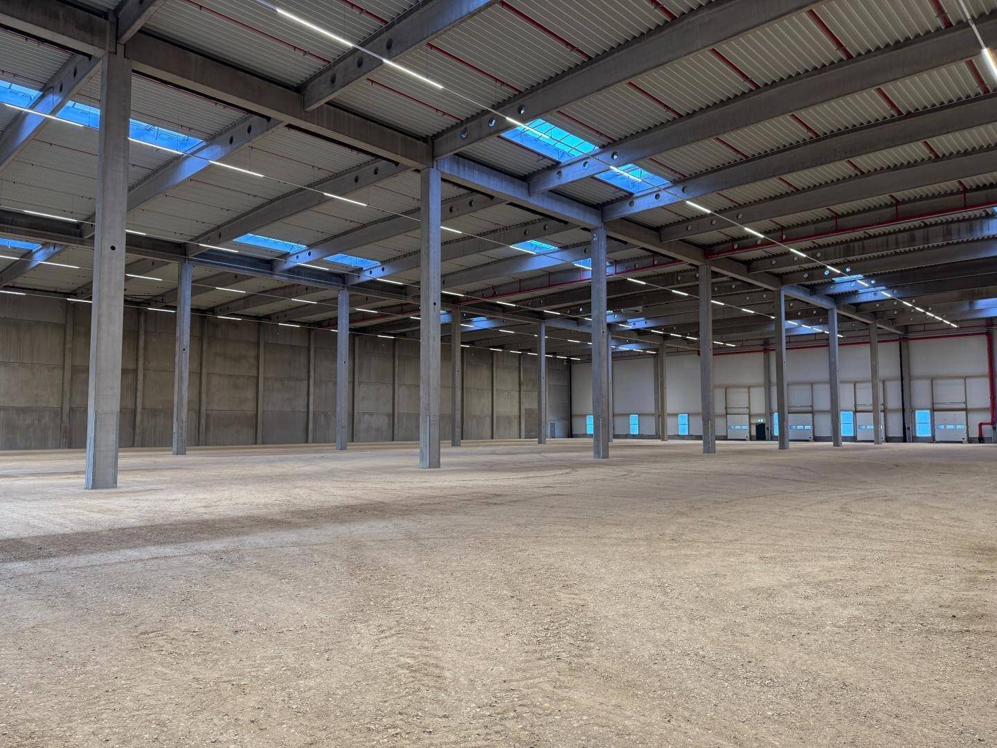 Große, leere Lagerhalle mit hoher Decke, sichtbaren Trägern und Oberlichtern, bereit für den Ausbau.