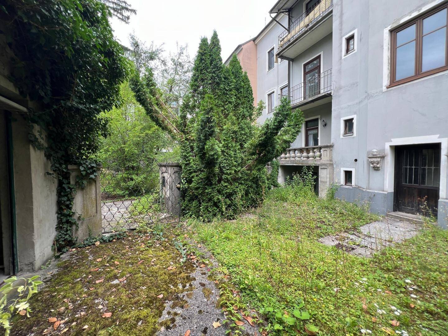 Verwilderter Gartenbereich mit üppigem Grün und einem alten Gebäude im Hintergrund, das auf Sanierung wartet.