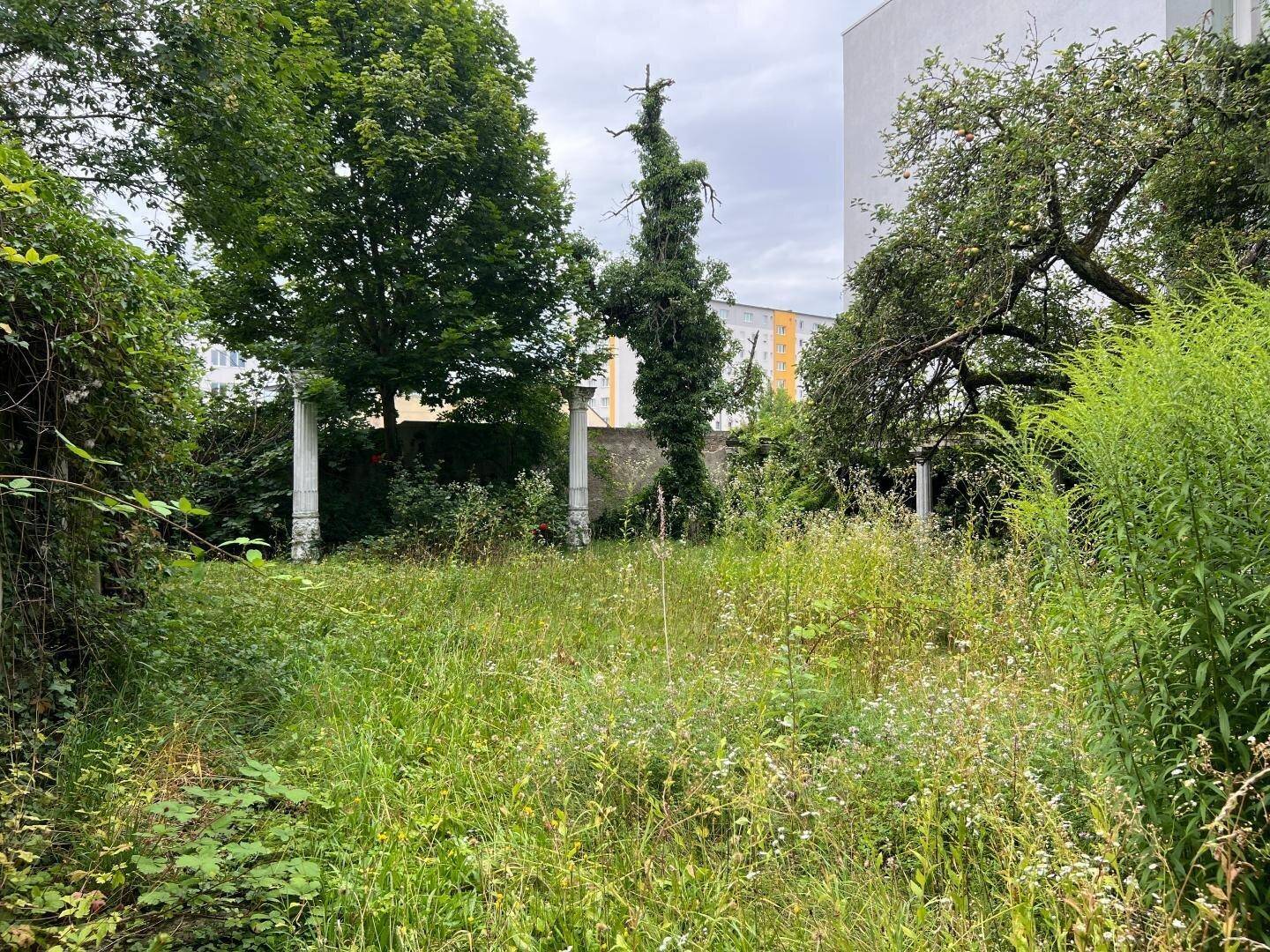 Weitläufiges, verwildertes Gartengrundstück mit hohen Gräsern und Bäumen, umgeben von städtischer Bebauung.