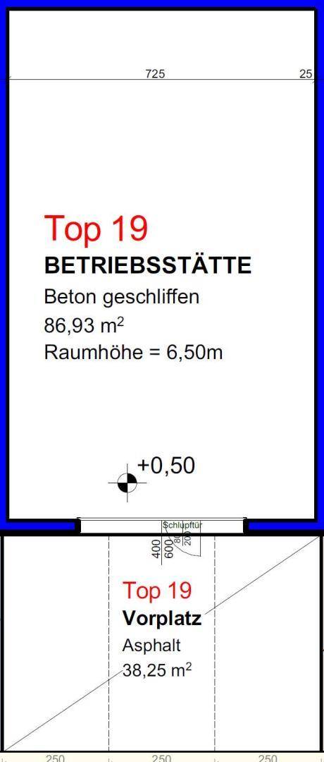 Top 19