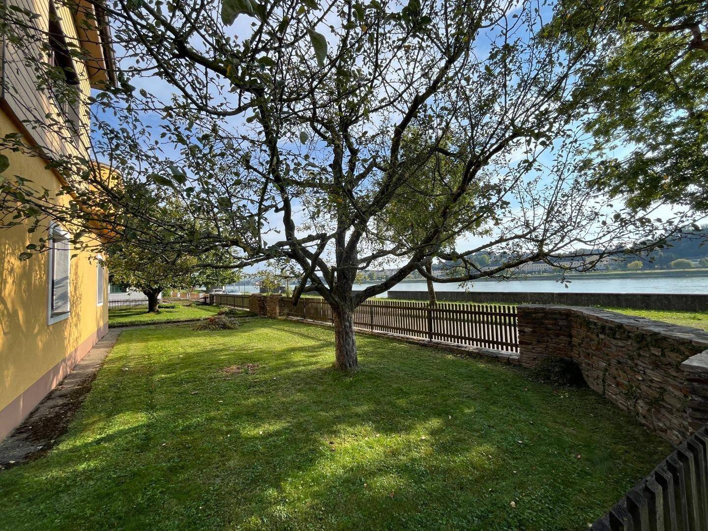 Seitlicher Gartenbereich mit Rasen, großem Baum und Blick auf den Fluss.
