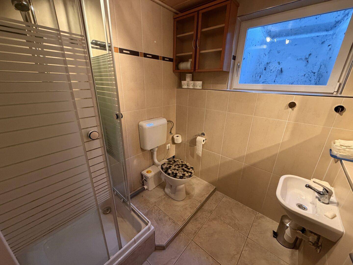 Badezimmer im Untergeschoss mit Duschkabine, Toilette und kleinem Waschbecken.