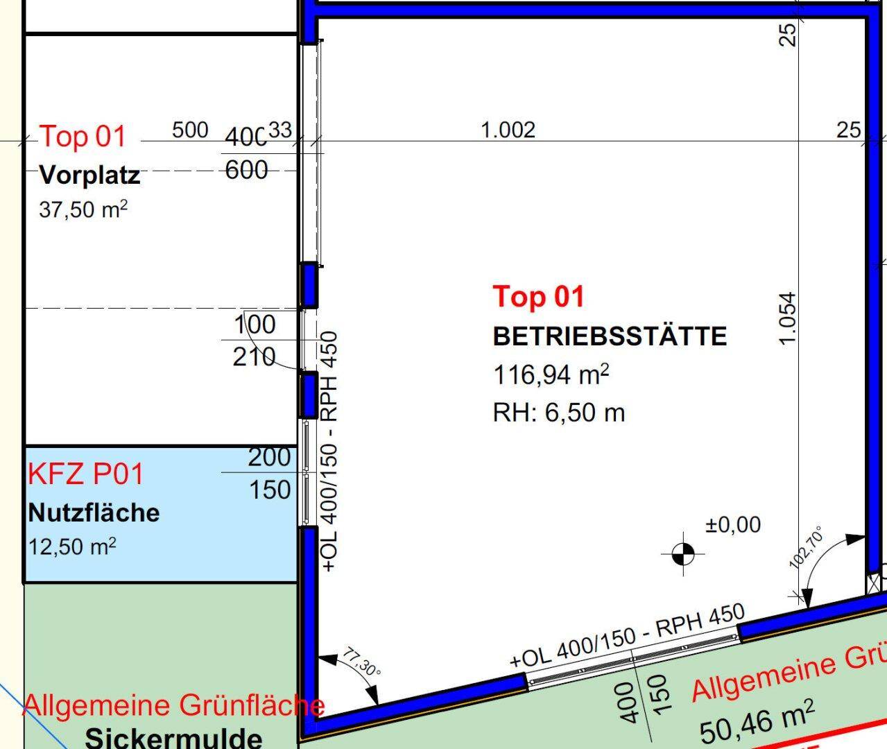 Grundriss zeigt eine Betriebsstätte Top 01 mit 116,94 m² Nutzfläche, einem Vorplatz und einer allgemeinen Grünfläche.