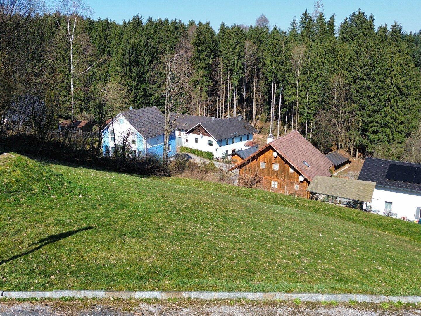 Blick auf mehrere Häuser in ländlicher Umgebung, eingebettet in eine Waldlandschaft.
