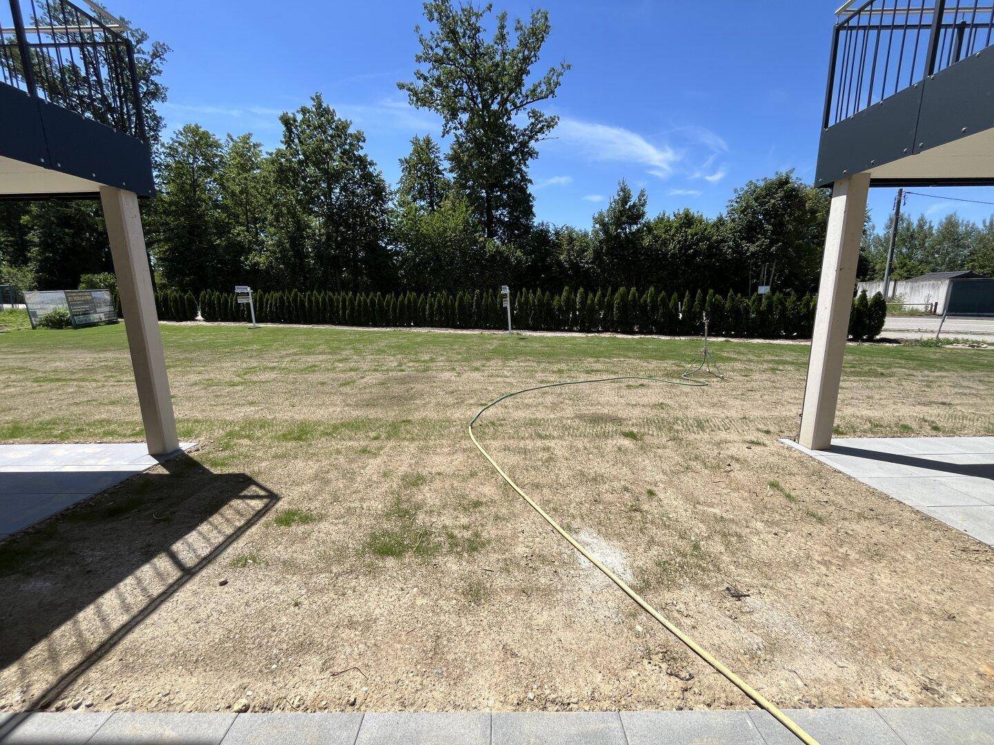 Gartenbereich mit trockenem Rasen, umgeben von Hecken und Bäumen unter blauem Himmel.