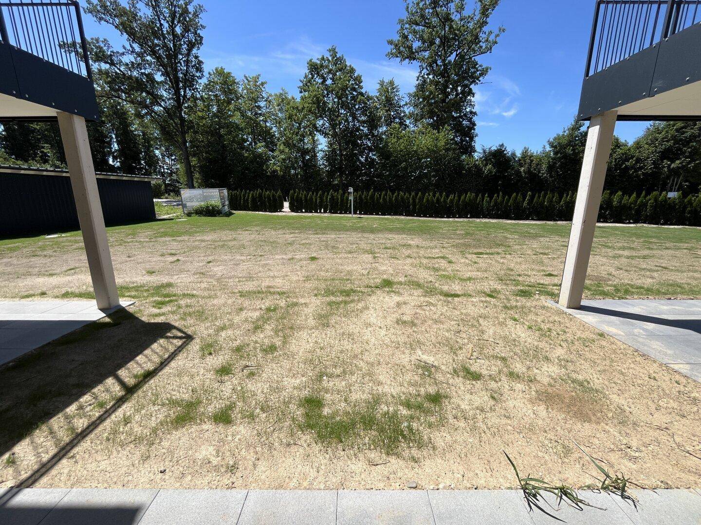 Große Rasenfläche mit Bäumen und Hecke im Hintergrund, umgeben von modernen Gebäudeteilen mit Balkonen.