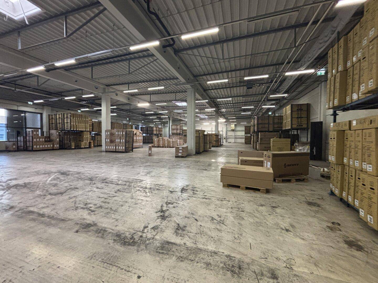 Weitläufige Lagerhalle mit hohen Decken, Beleuchtung und gestapelten Waren auf Paletten.
