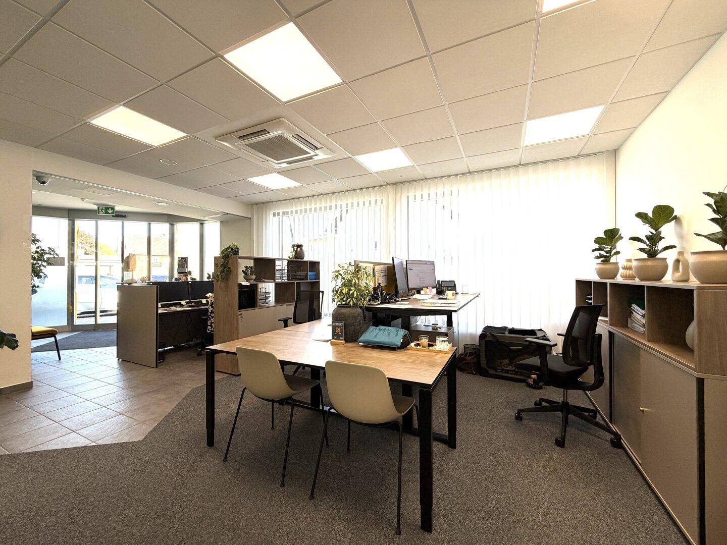 Heller Großraumbüro-Bereich mit mehreren Arbeitsplätzen, Teppichboden und viel Tageslicht.