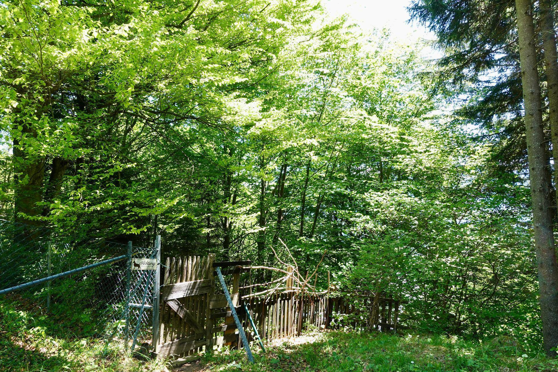 Waldhütte I Ruhelage I Hungerburg - Ansicht 6