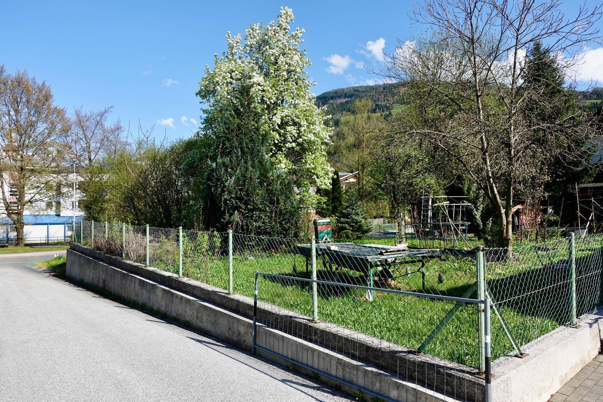 Gepflegter Gartenbereich mit Rasenfläche, blühenden Bäumen und einem Tischtennistisch.