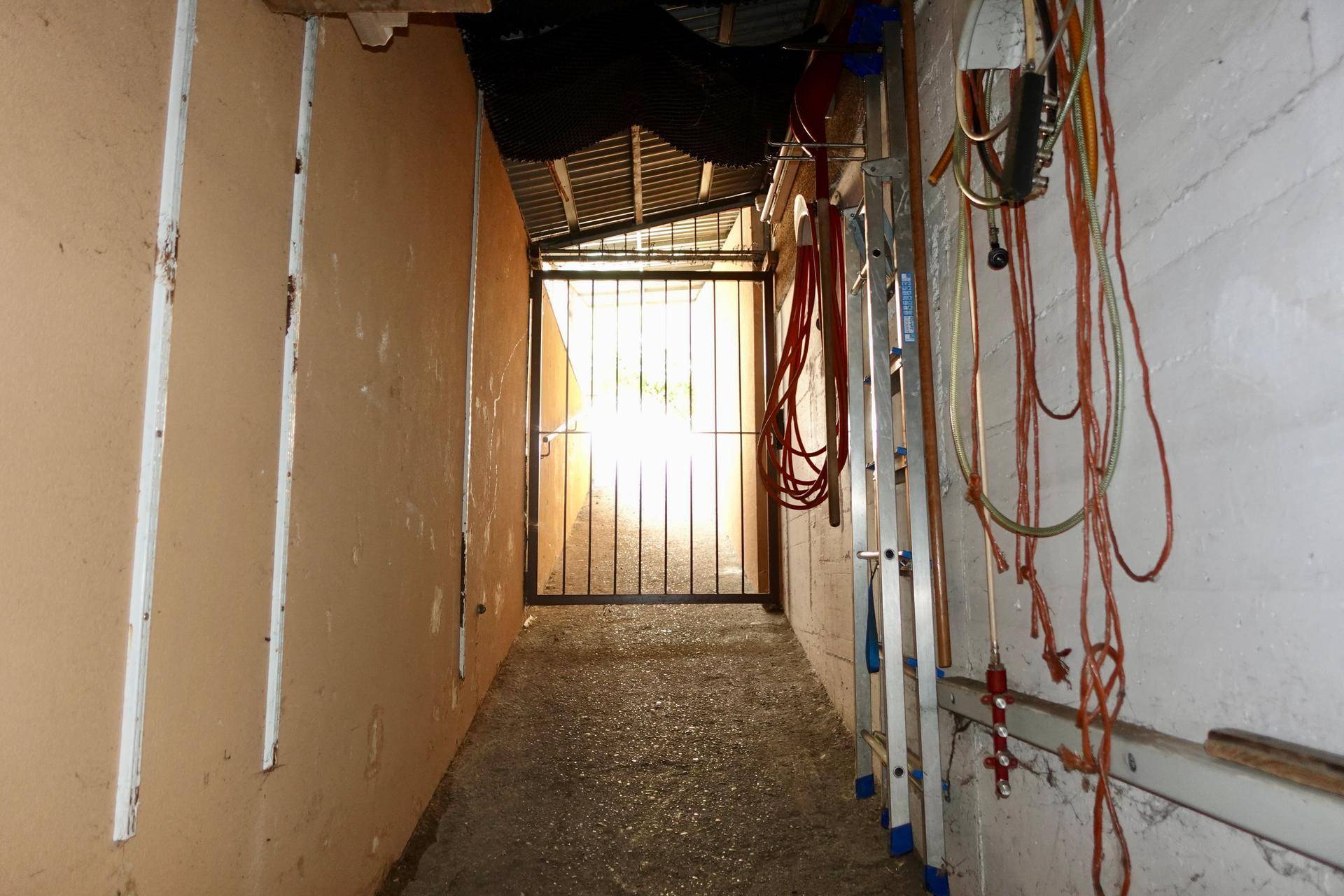 Ein schmaler Gang im Keller mit Betonboden und einem Gittertor am Ende, der als Lager oder Durchgang dient.