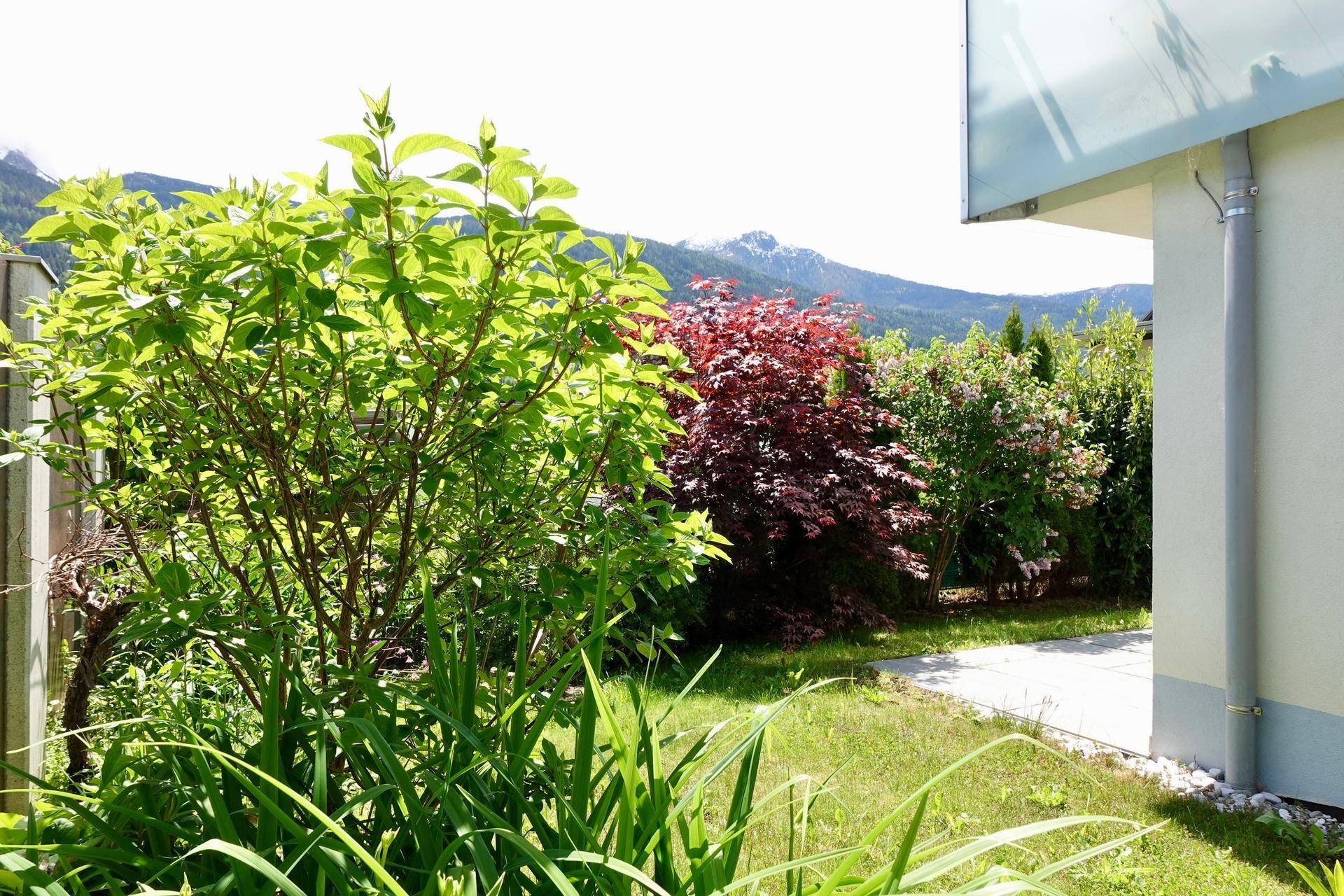 Grüner Gartenbereich mit verschiedenen Sträuchern und einem Pfad, umgeben von einer malerischen Berglandschaft.