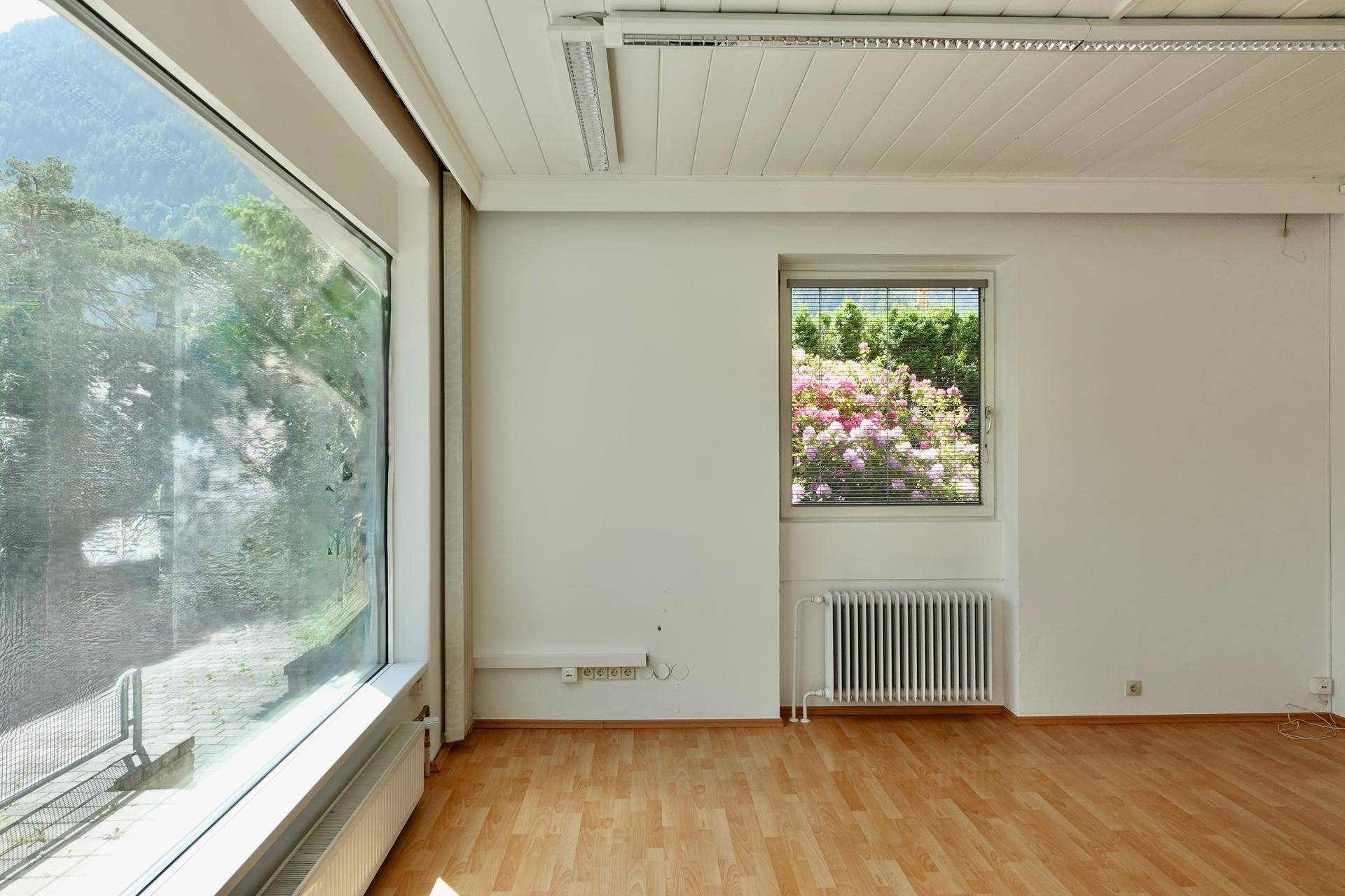 Heller Innenraum mit großen Fenstern, Holzboden und Blick ins Grüne sowie auf blühende Pflanzen.