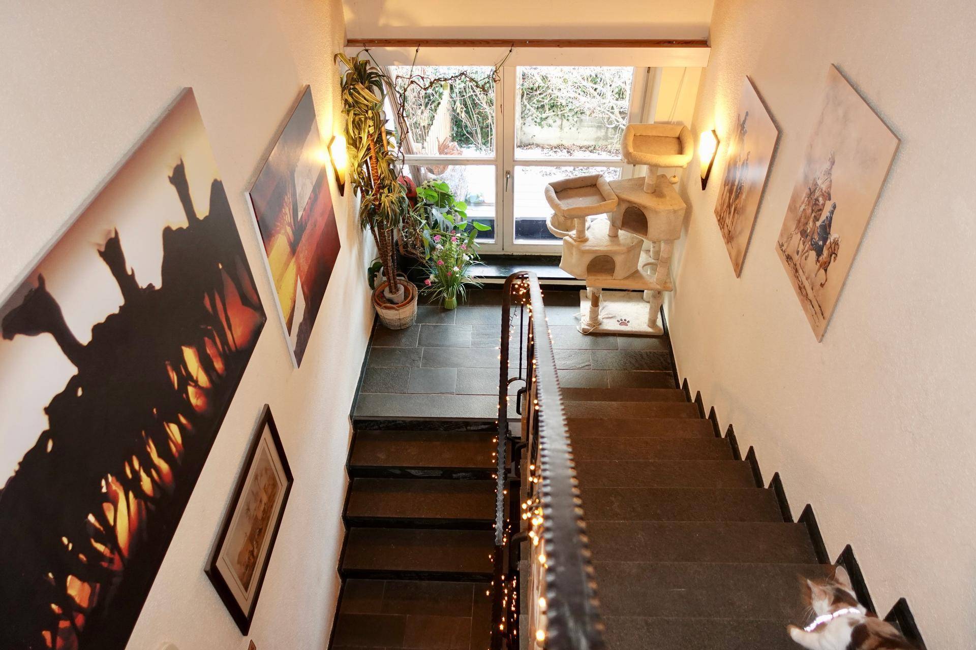 Treppenhaus mit dunklen Stufen, hellen Wänden und Fensterblick ins Grüne.