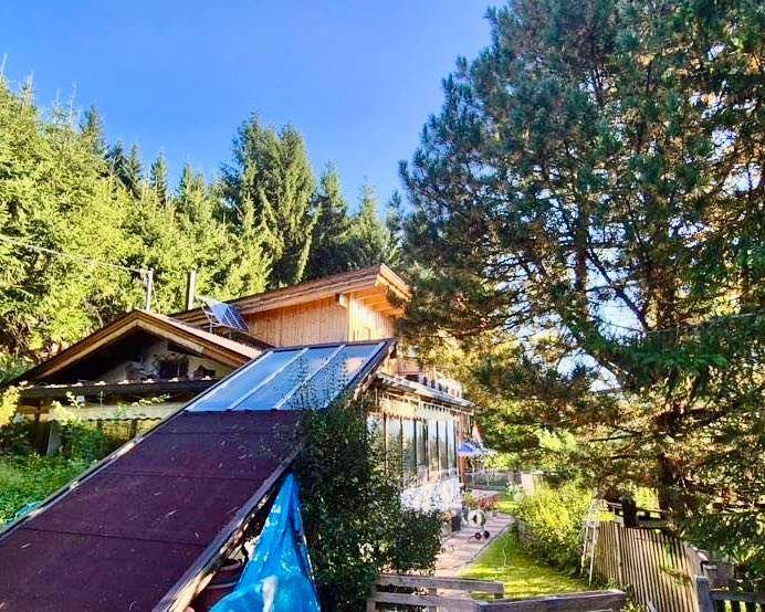 Sonnige Hausfassade mit großen Fenstern und einem gepflegten Gartenbereich umgeben von Bäumen.
