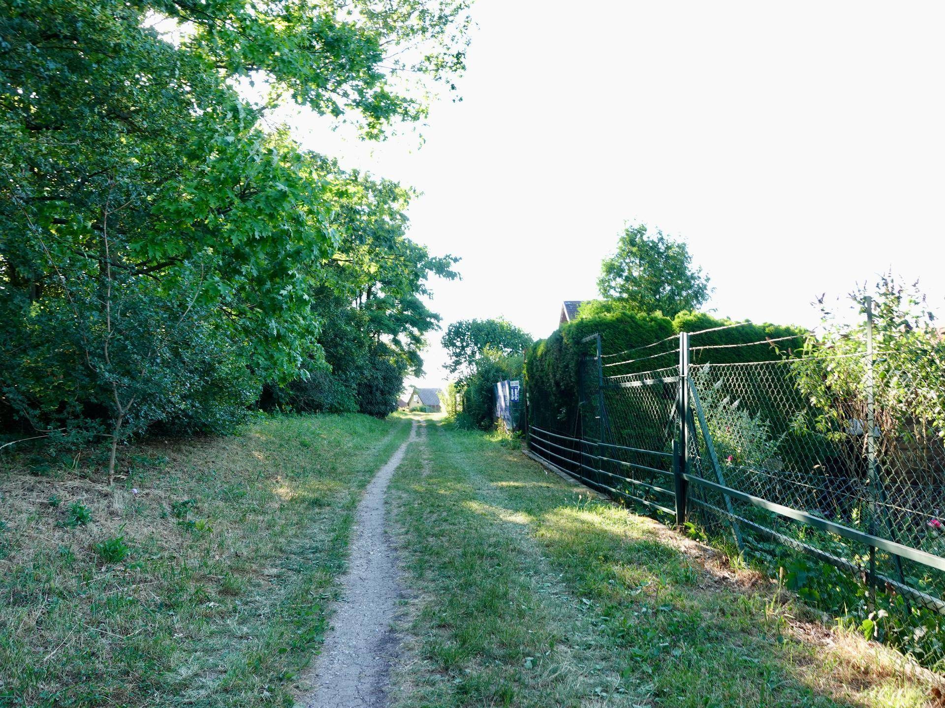 Unbefestigter Weg umgeben von Bäumen und einem Zaun in ländlicher Umgebung.