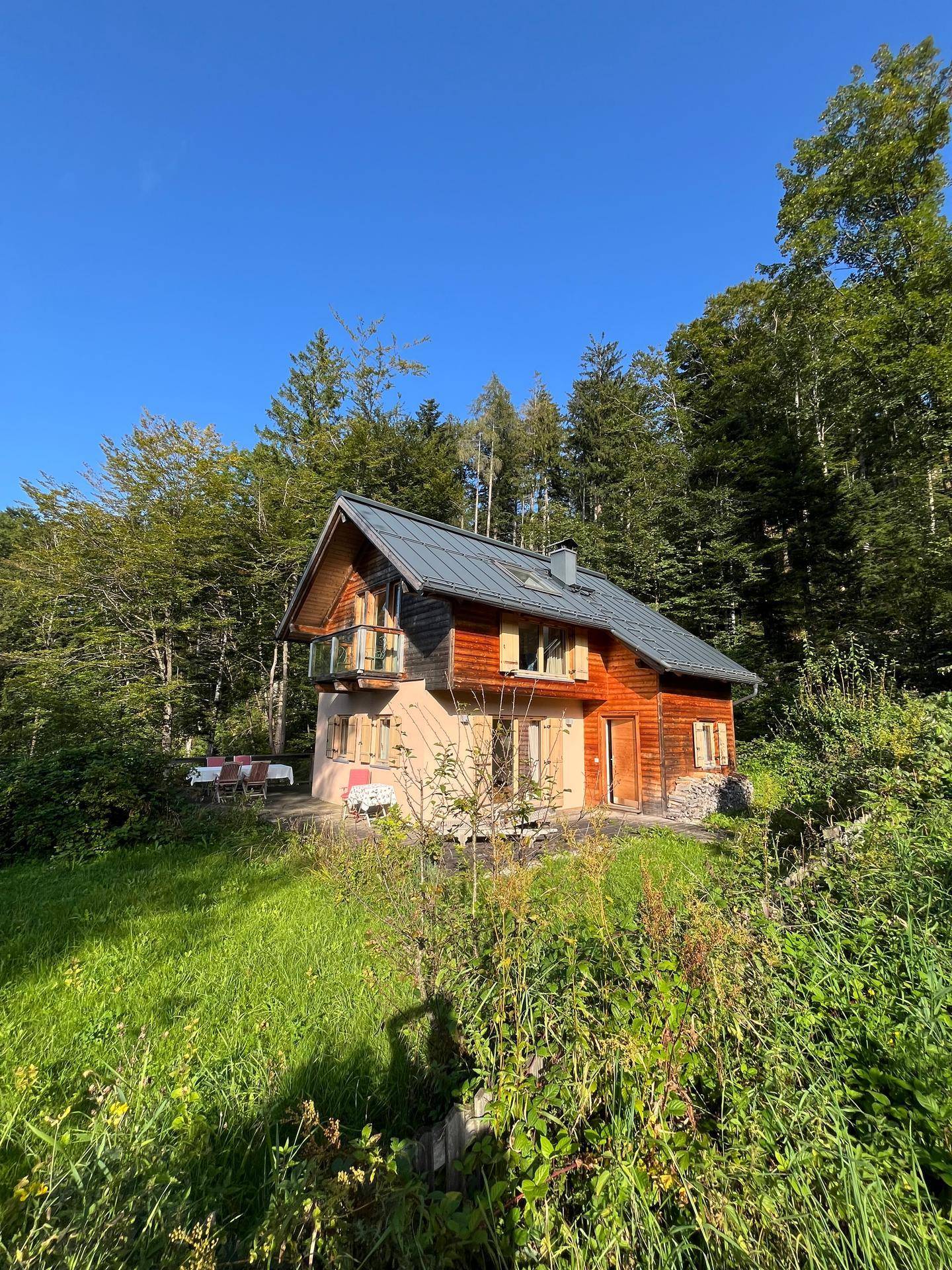 Charmantes Holzhaus umgeben von üppiger Natur unter strahlend blauem Himmel.