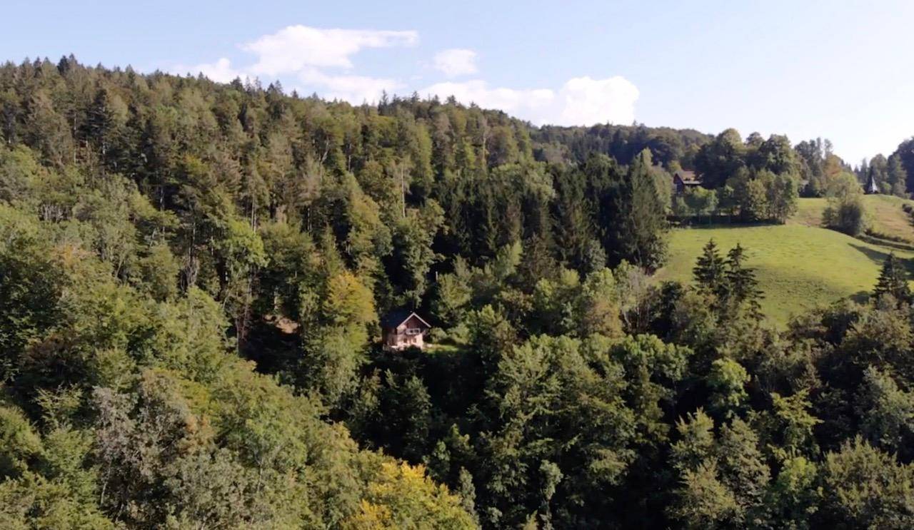 Weitläufige Luftaufnahme der idyllischen Waldlandschaft mit dem Haus im Zentrum.