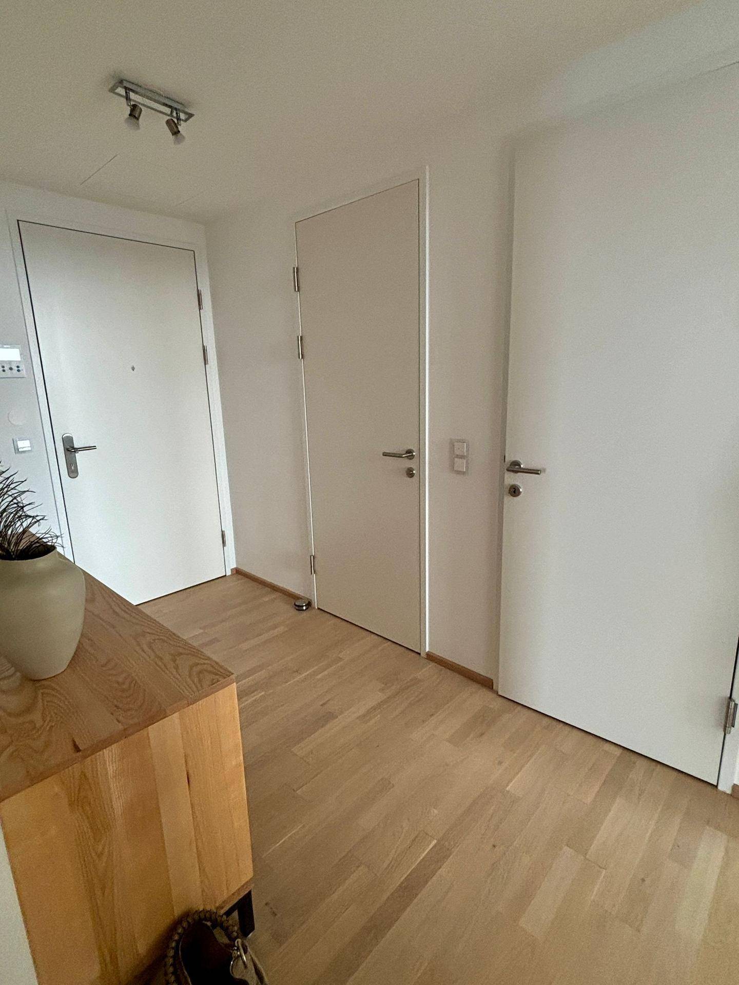 Heller Eingangsbereich mit Holzboden, mehreren Türen und einem modernen Holzschrank.