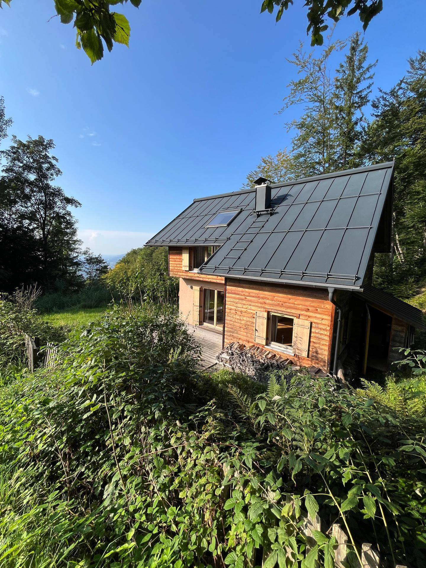 Rückansicht des Holzhauses mit dunklem Dach und umgebender Waldlandschaft.
