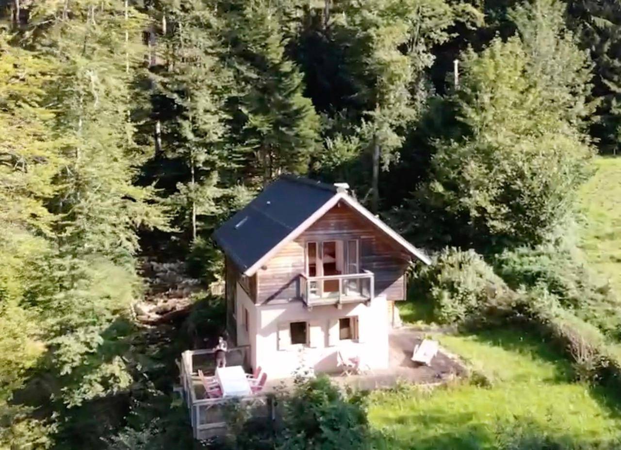 Luftaufnahme des Hauses, eingebettet in die grüne Waldlandschaft mit Terrasse und Balkon.