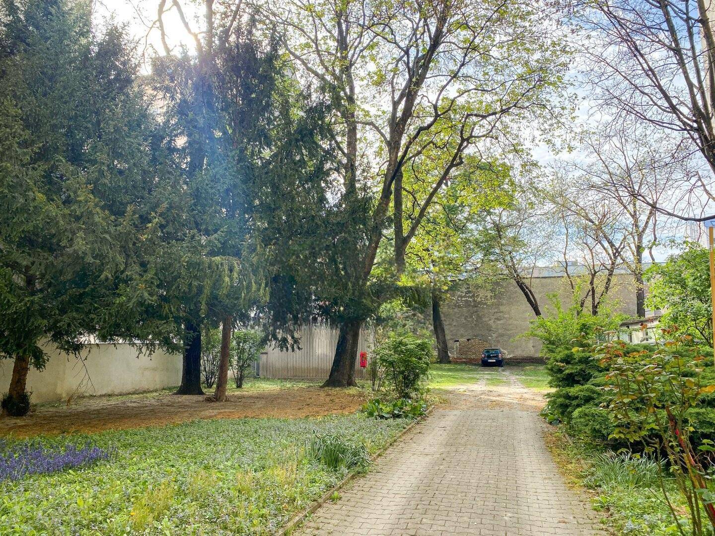 Grüner Gartenbereich mit altem Baumbestand, gepflastertem Weg und Parkmöglichkeit.