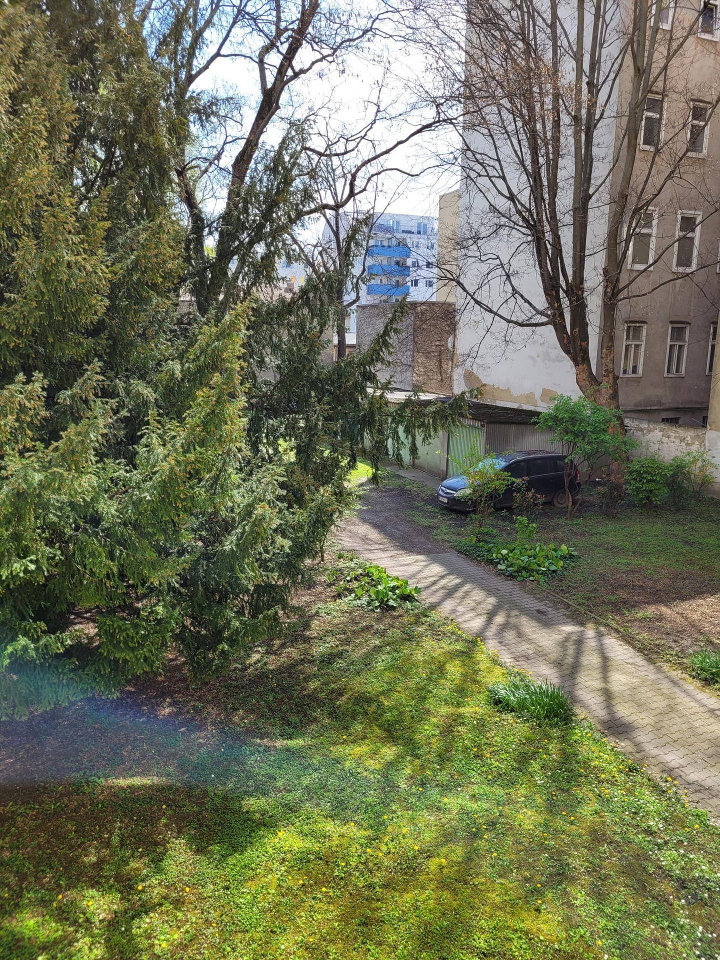 Grüner Gartenbereich mit Bäumen, Rasenfläche und Blick auf umliegende Gebäude.