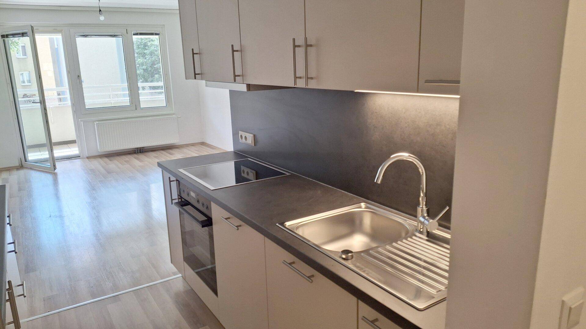 Detailansicht der Küchenzeile mit Spülbecken, Kochfeld und Backofen, offen zum Wohnbereich.