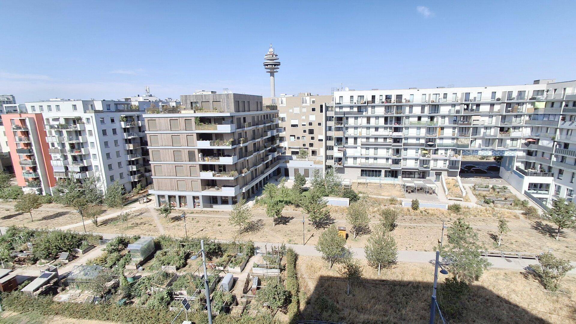 Weitläufiger Blick auf moderne Wohngebäude und den Donauturm unter blauem Himmel.