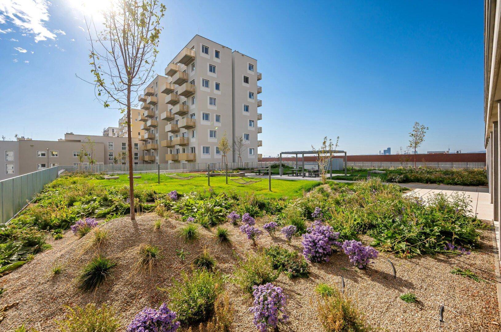 Sonniger Dachgarten mit blühenden Pflanzen und Sitzgelegenheiten, umgeben von modernen Wohngebäuden.