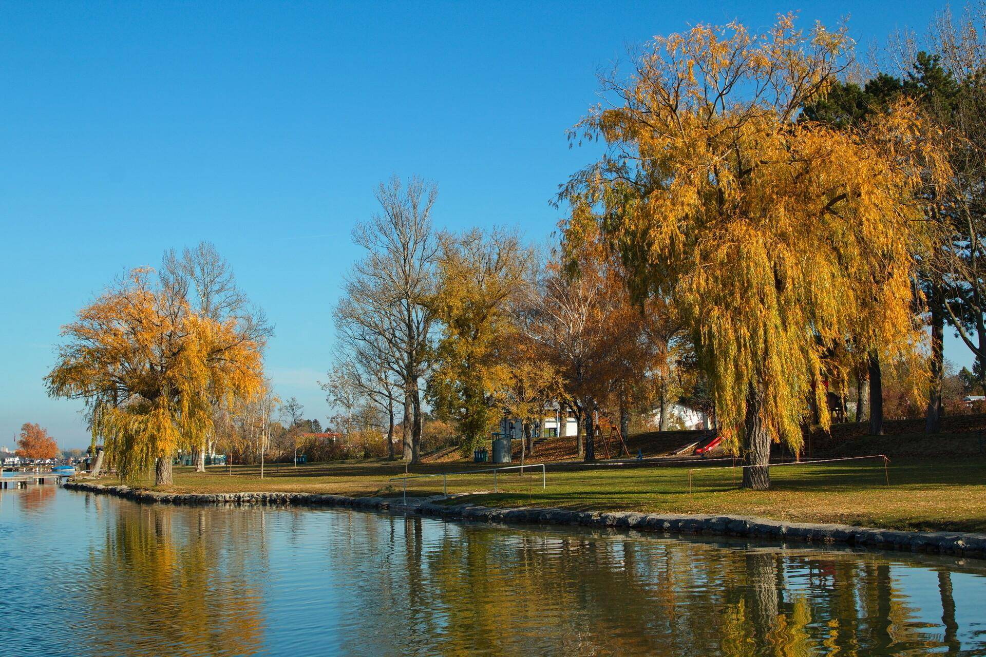 Neufelder See