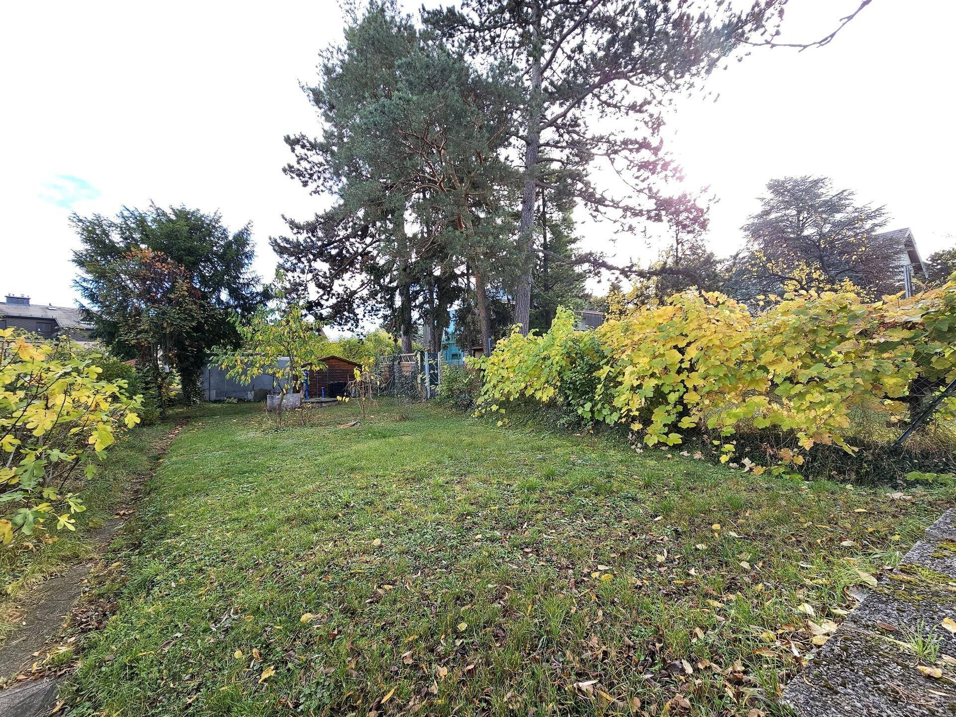 20231102_103219.jpg