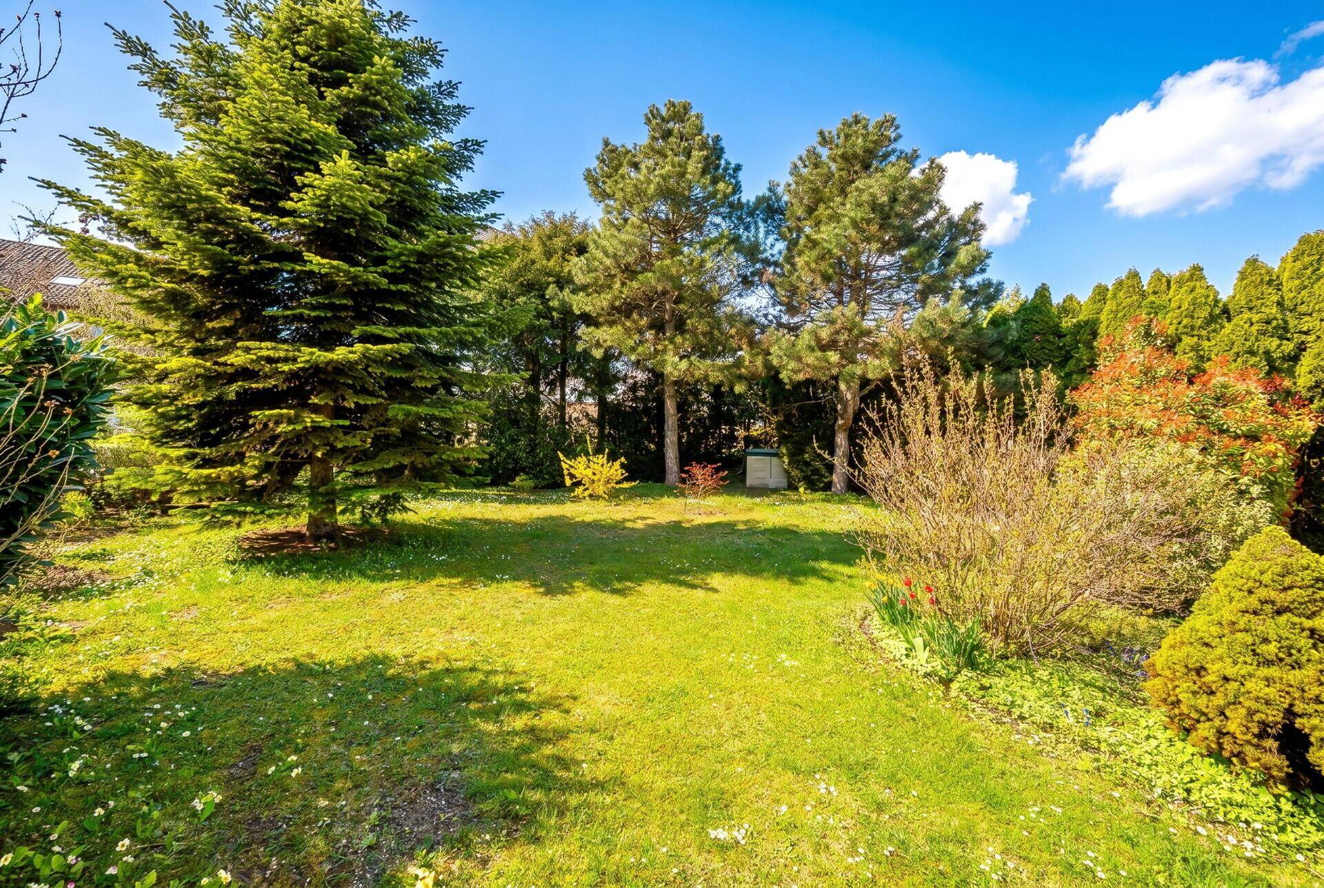 Weitläufiger, sonniger Gartenbereich mit altem Baumbestand und blühenden Sträuchern.