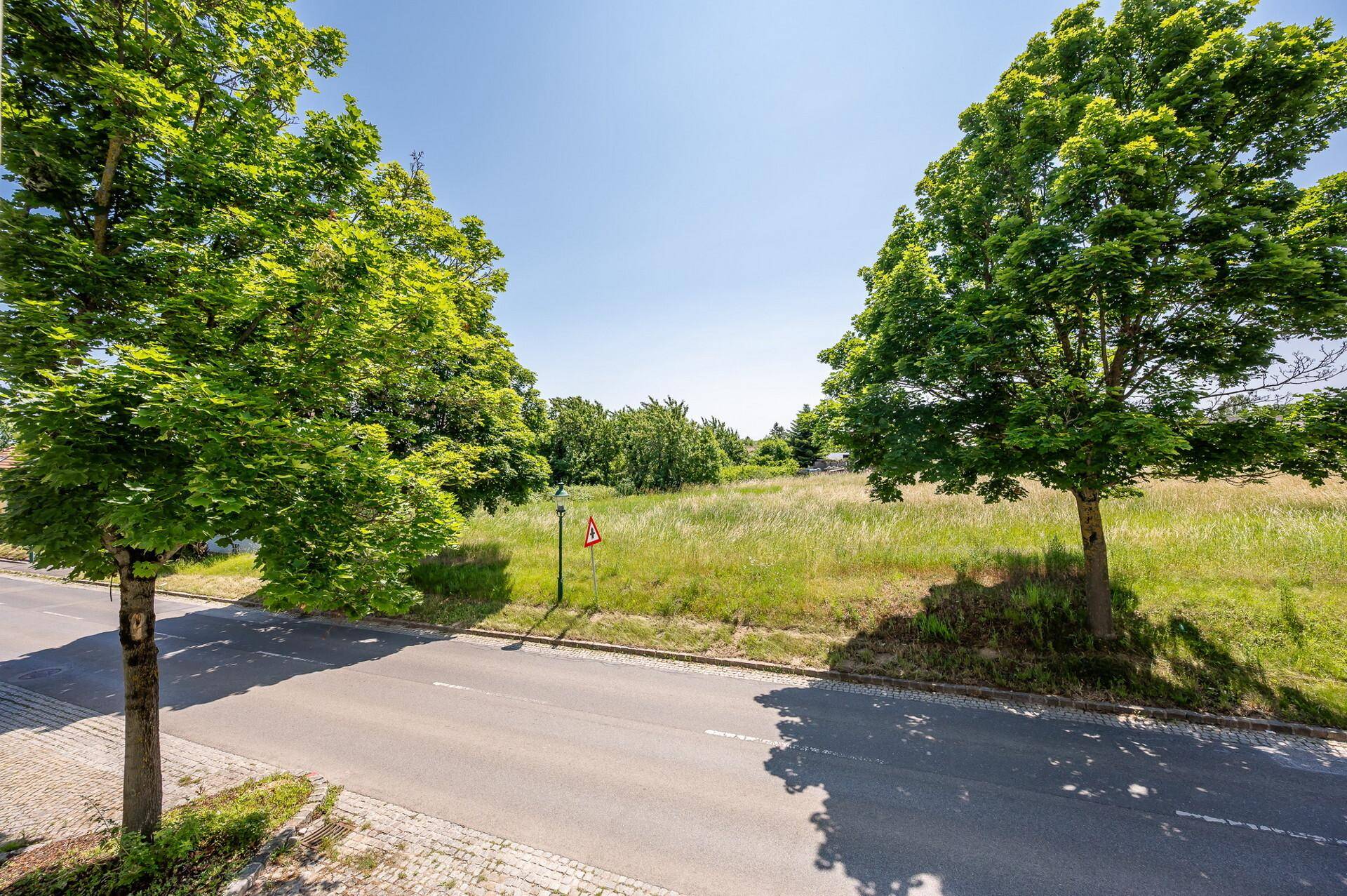 Ausblick Straße