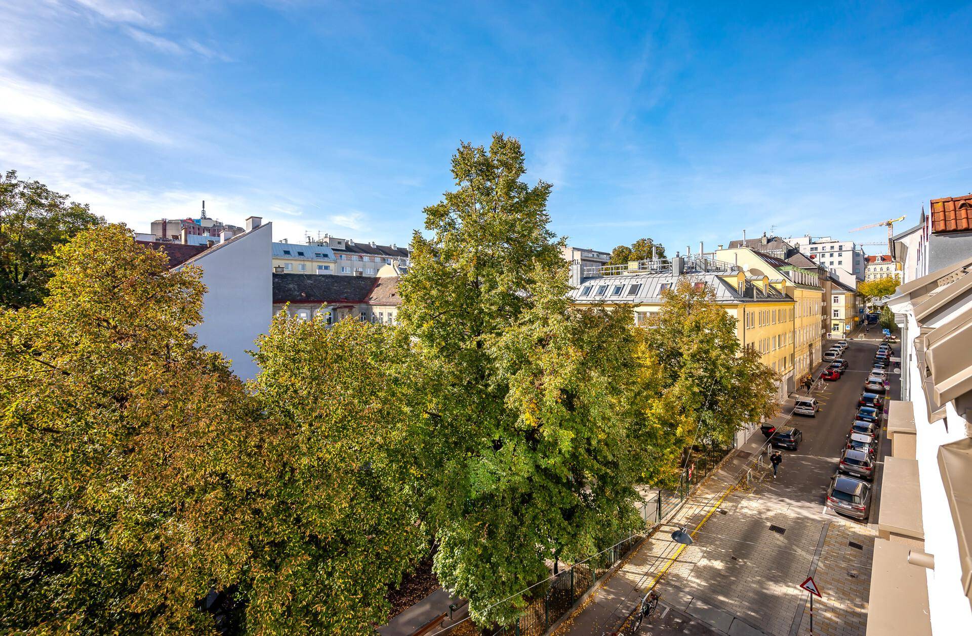 Panoramablick auf eine von Bäumen gesäumte Straße mit parkenden Autos und städtischen Gebäuden.