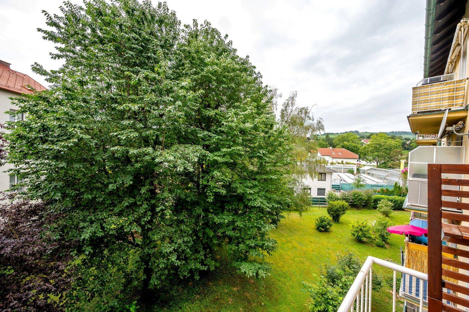 Ausblick vom Balkon