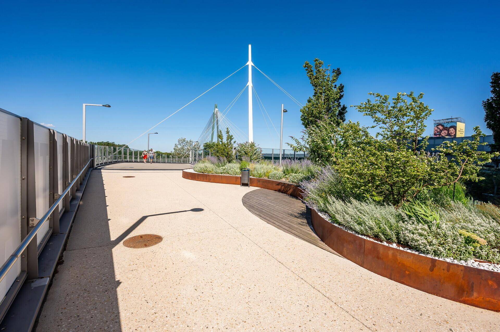 Moderner Fußgängerweg mit Landschaftsgestaltung und Blick auf eine Hängebrücke.