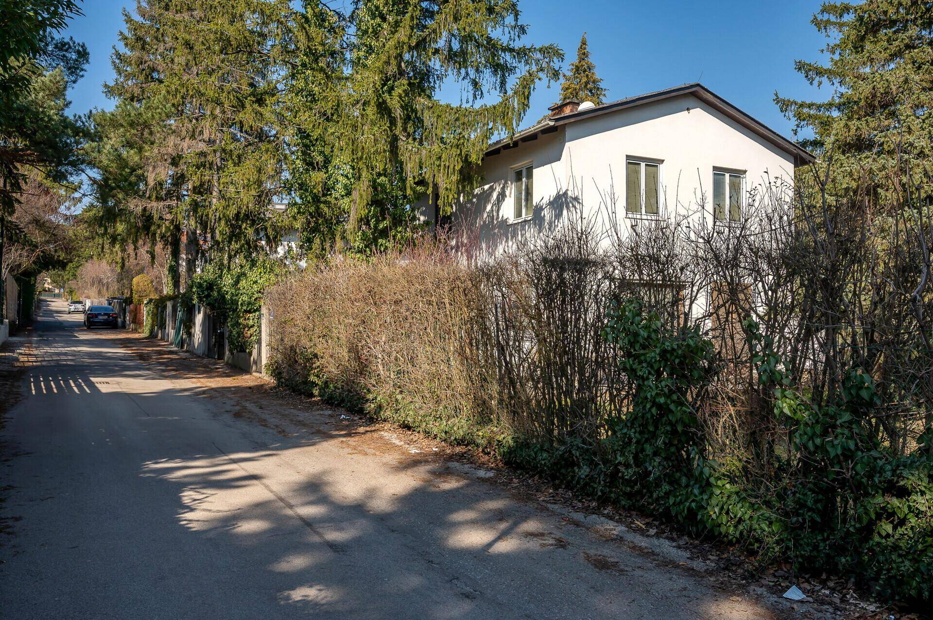 Seitenansicht des Hauses von der Straße aus, umgeben von hohen Hecken und Bäumen.