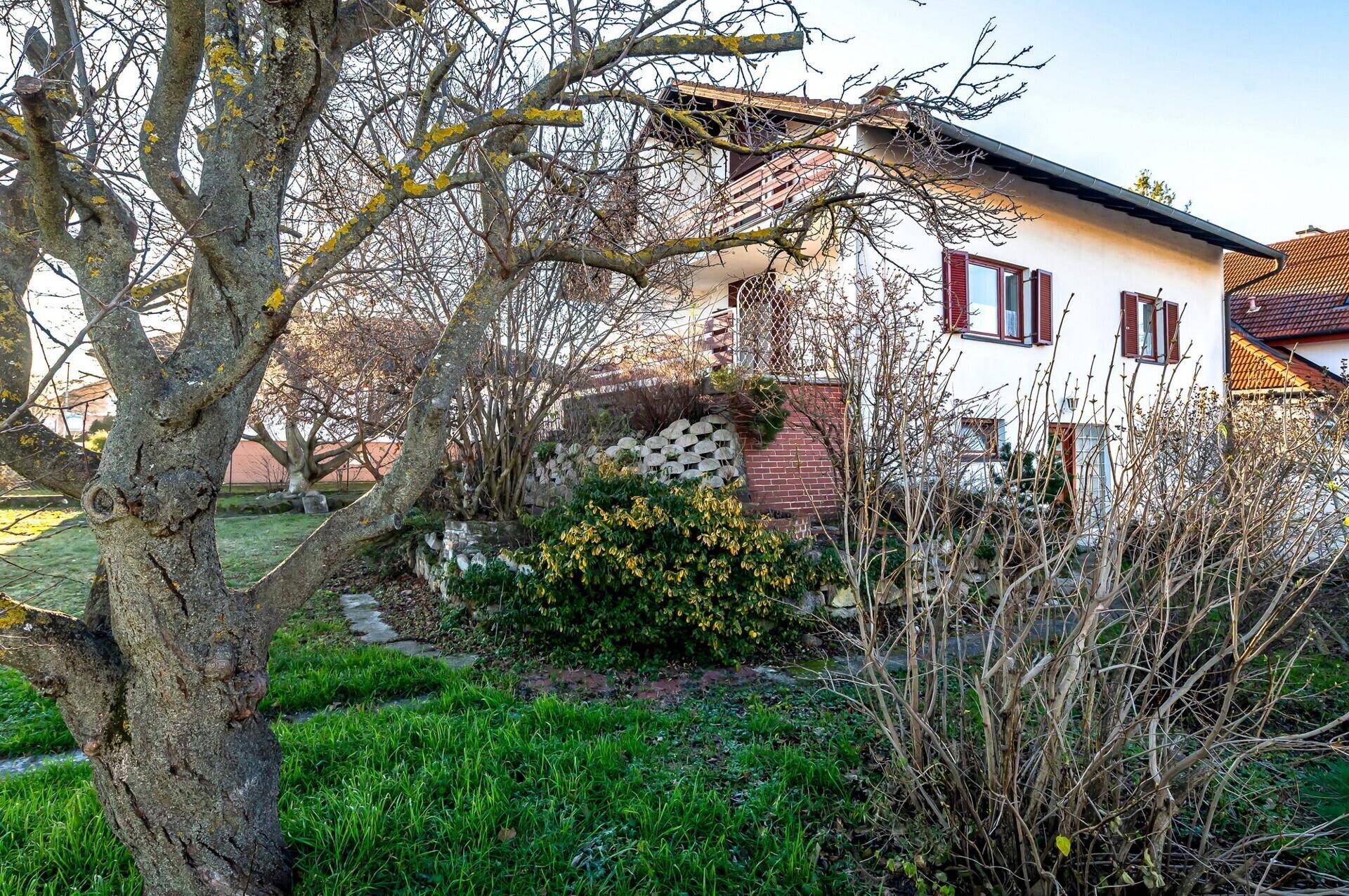 Seitenansicht des Hauses mit Gartenbereich, Sträuchern und einem großen Baum im Vordergrund.