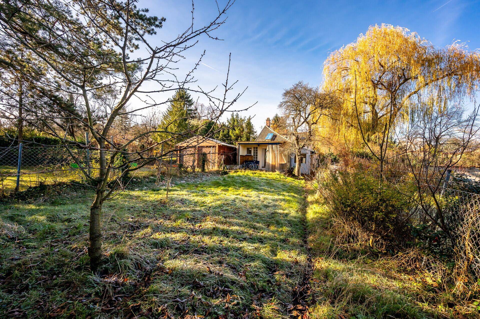 Sonniger Garten mit Rasen, Bäumen und einem kleinen Gebäude im Hintergrund, umgeben von Natur.