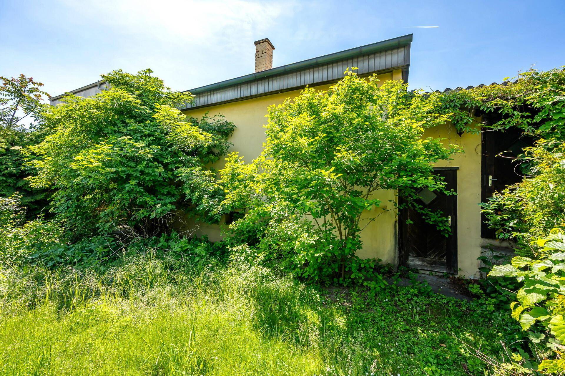 Hinterseite Haus