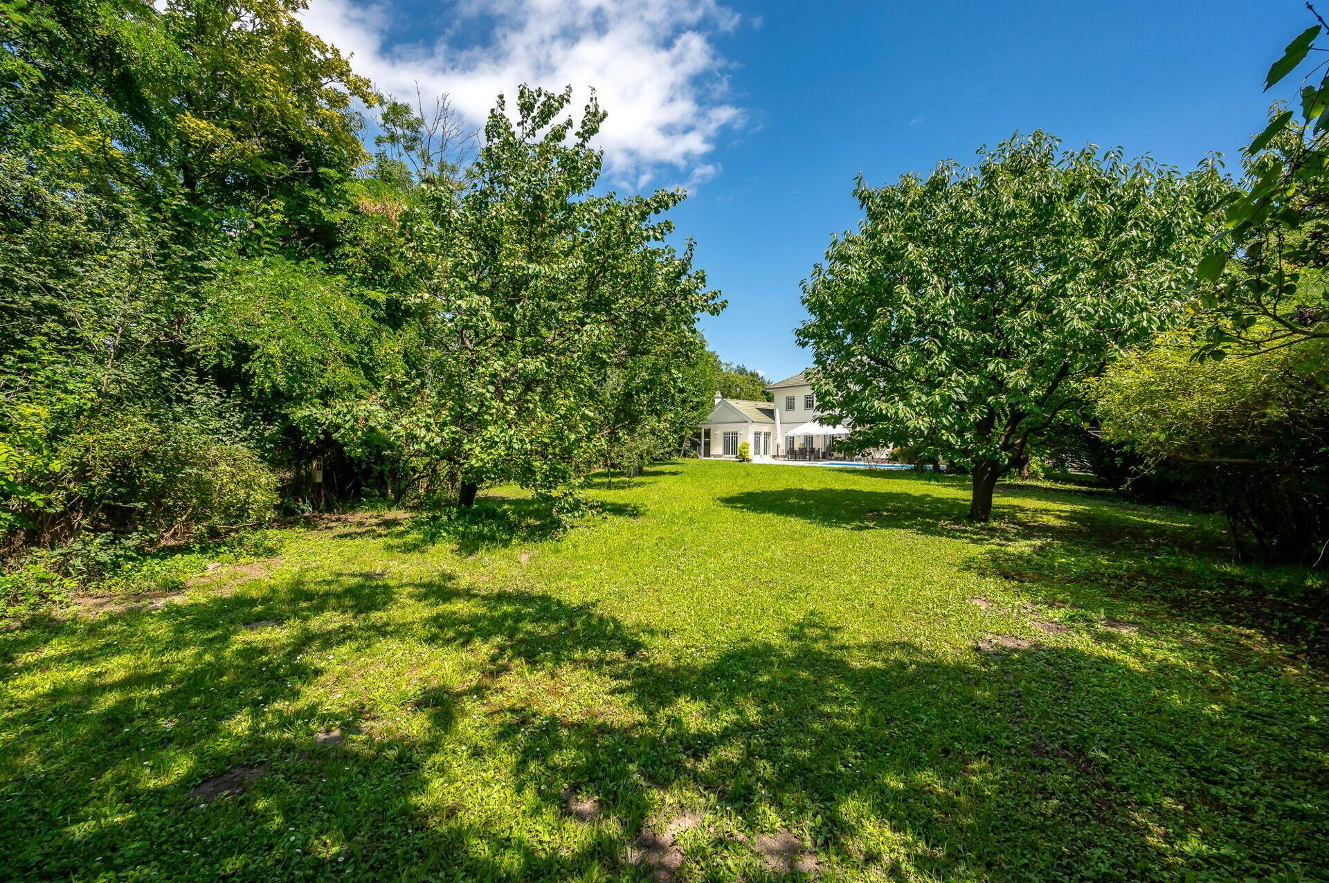 Idyllischer Gartenbereich mit hohen Bäumen und viel Grünfläche.